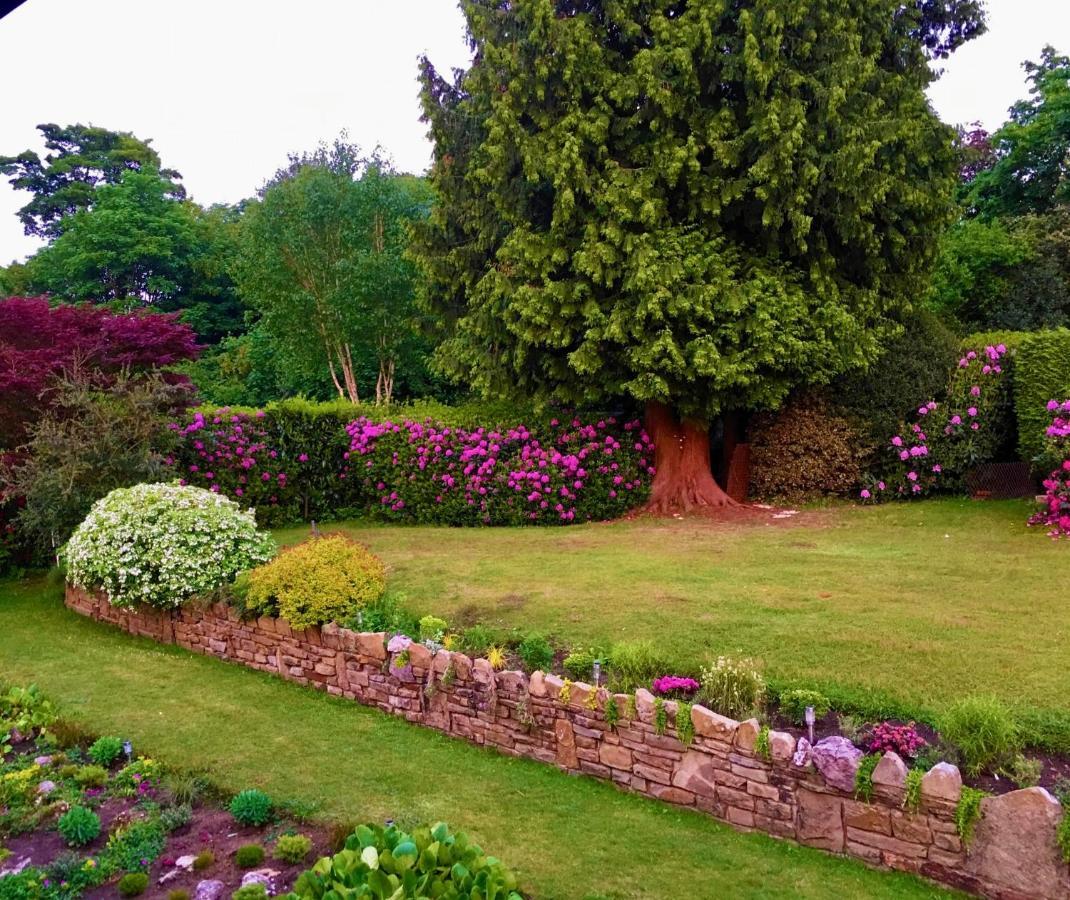 Ranmore Rise Retreat In The Surrey Hills Dorking Esterno foto